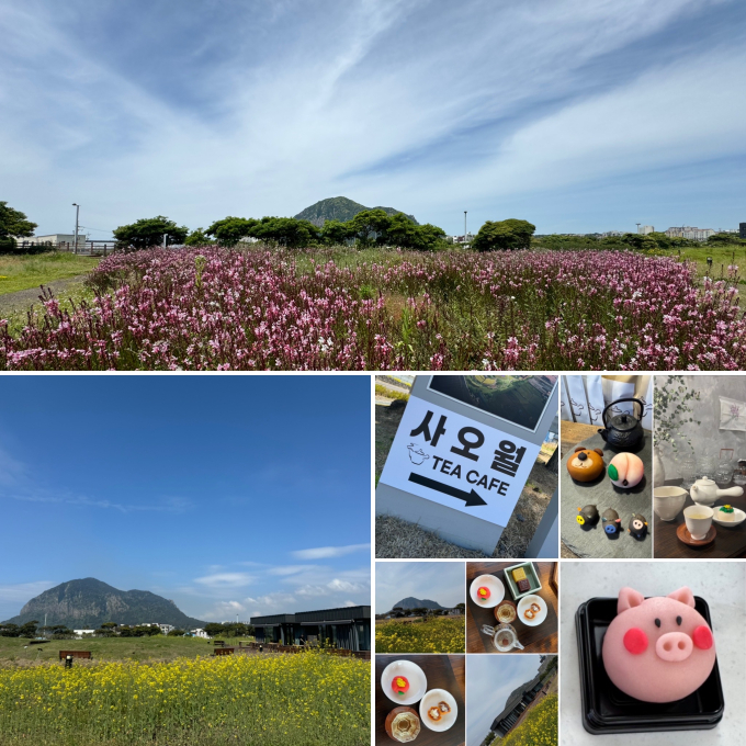 사오월Tea cafe