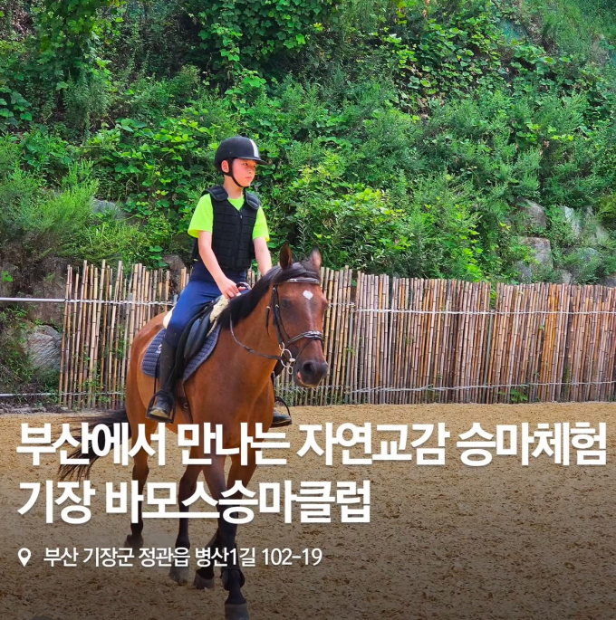 바모스승마클럽