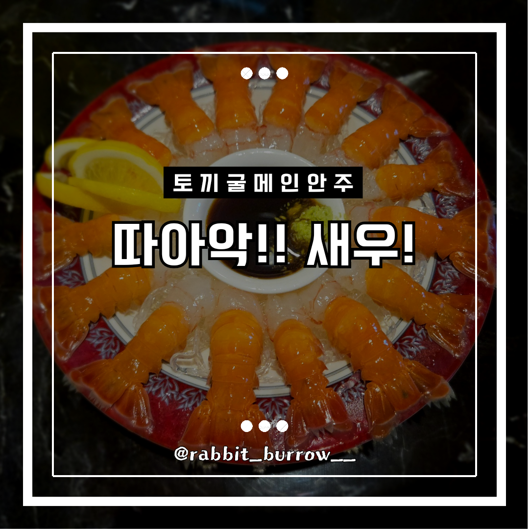 [서울/동대문구] 토끼굴