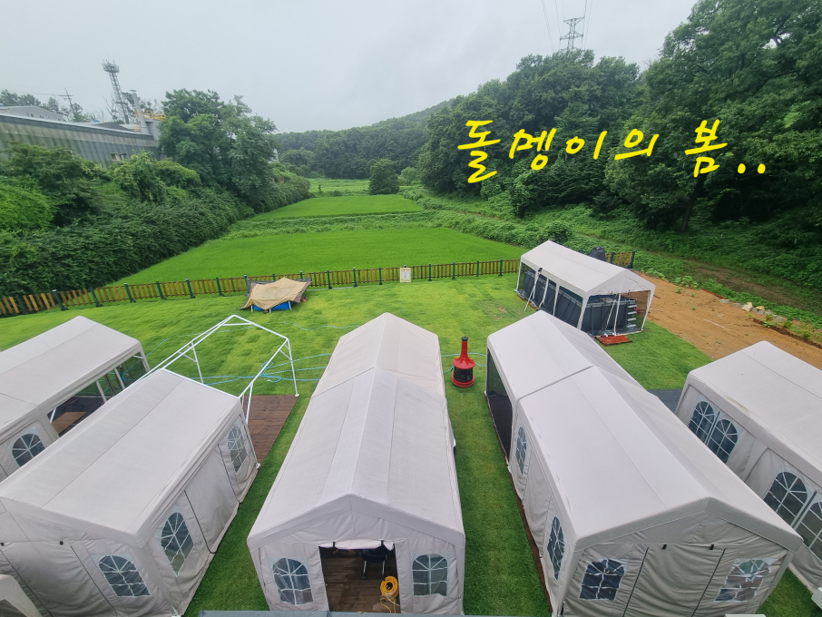 체험단 이미지