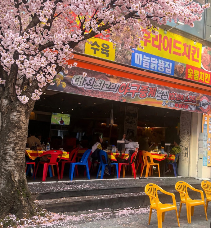 동백야시장