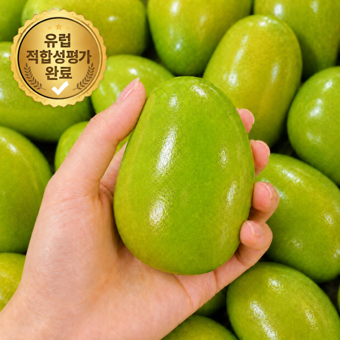디자인유니크