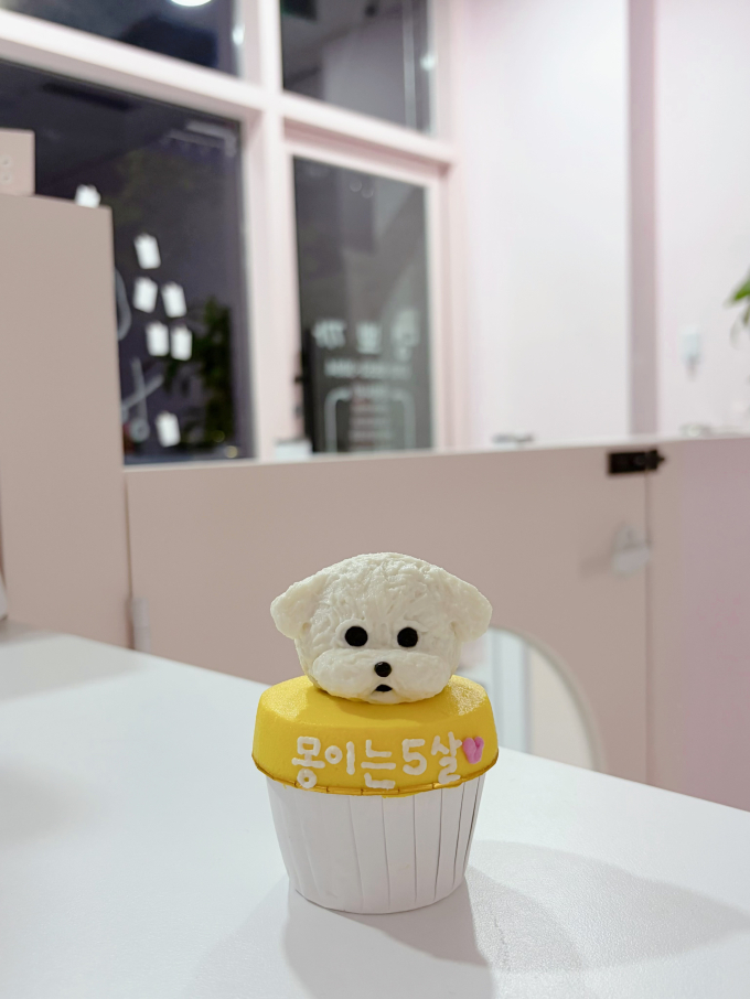댕뽀까