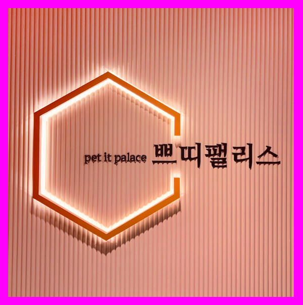 쁘띠팰리스 광교점