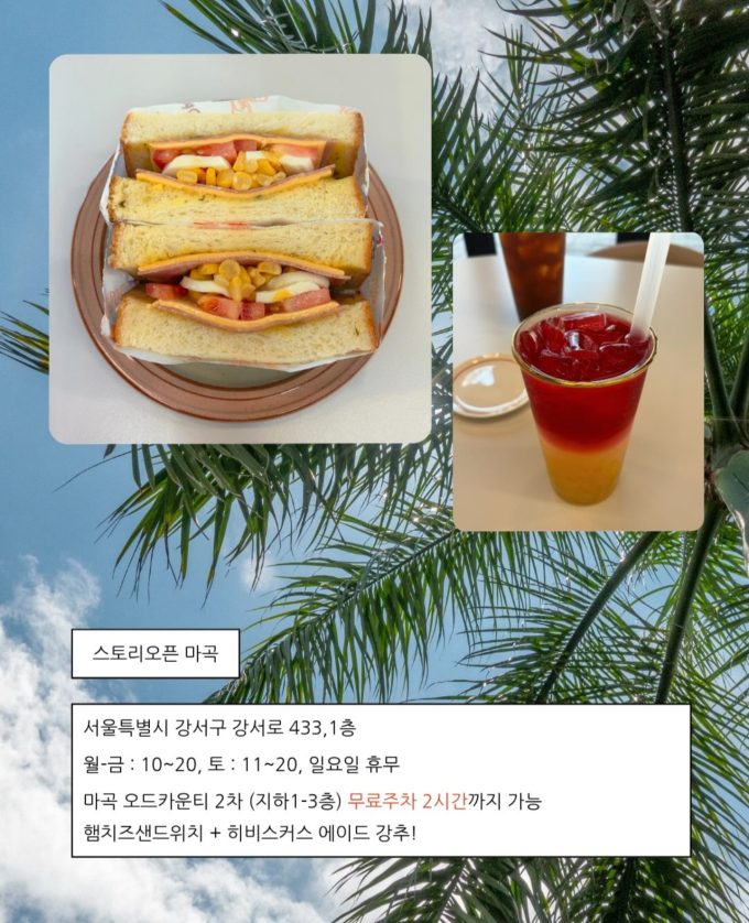 [서울/강서구]스토리오픈