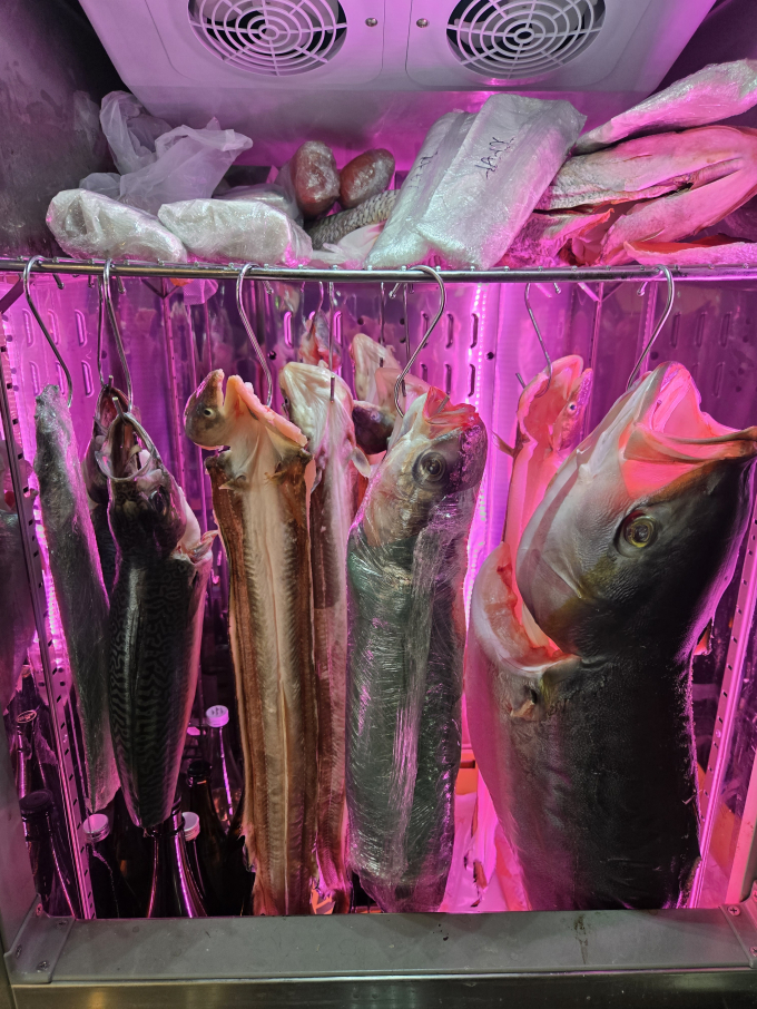 [부산/영도구]이자카야네타