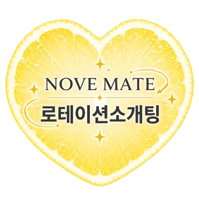 [경기/성남시][분당 판교] 로테이션 소개팅, 노브메이트